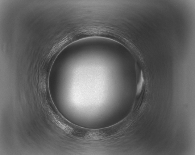 X0000086010489200703231216