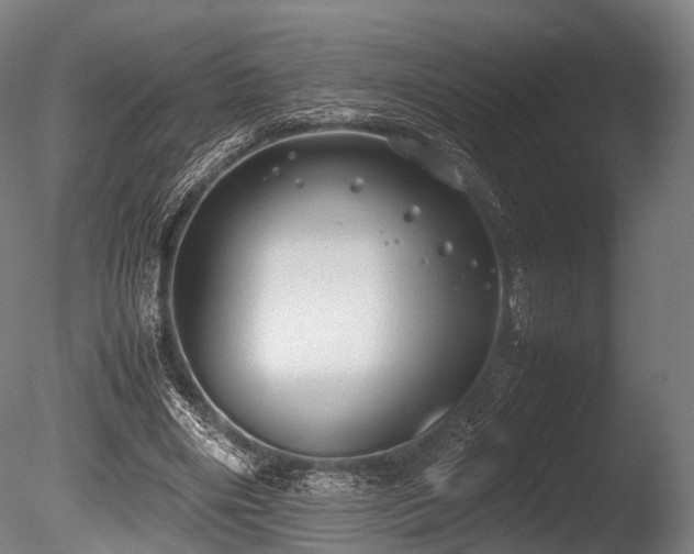 X0000086010490200703231216