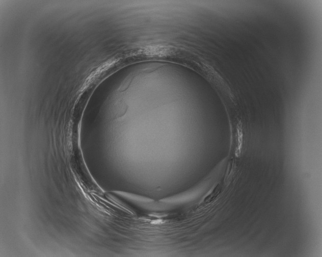 X0000086010492200703231216