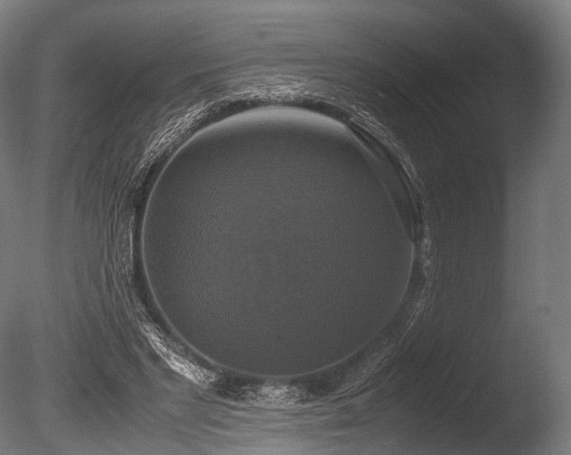 X0000086010493200703231216