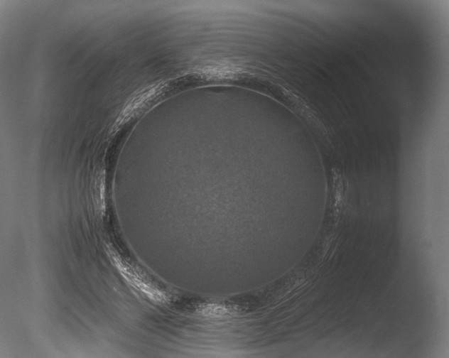 X0000086010494200703231216