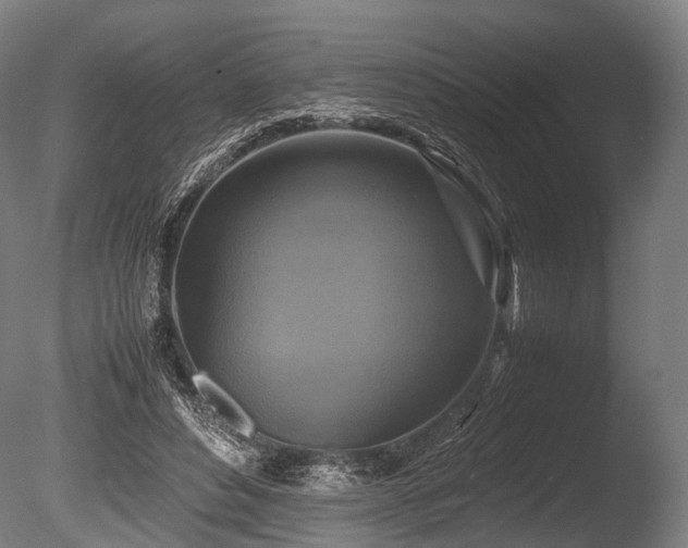 X0000086010496200703231215