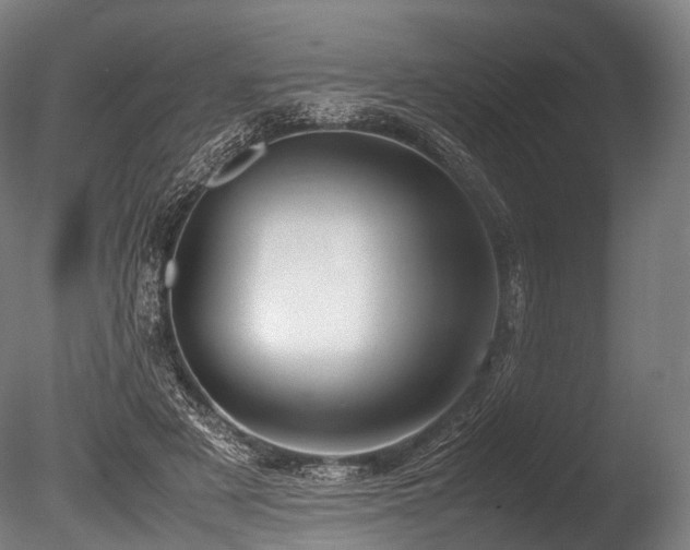 X0000086010497200703231215