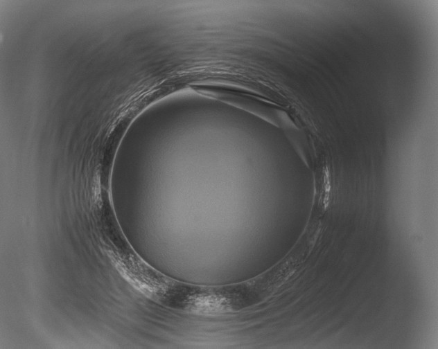 X0000086010500200703231215