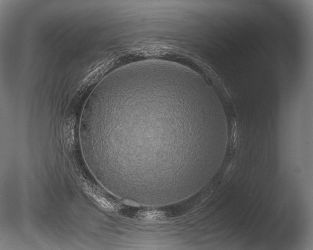 X0000086010501200703231215