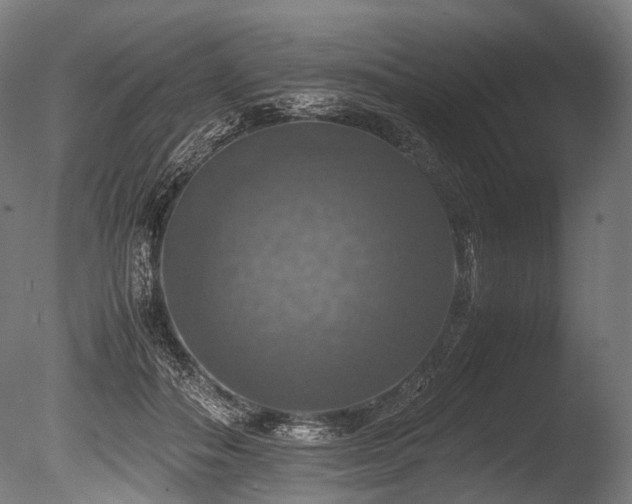 X0000086010506200703231215