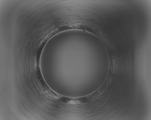 X0000086010508200703231215