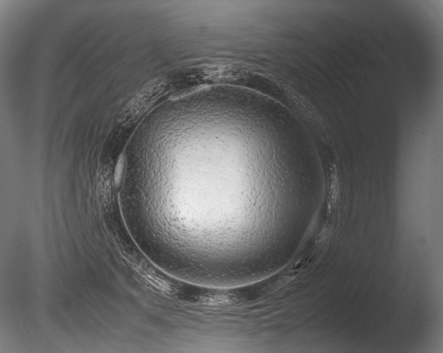 X0000086010513200703231215