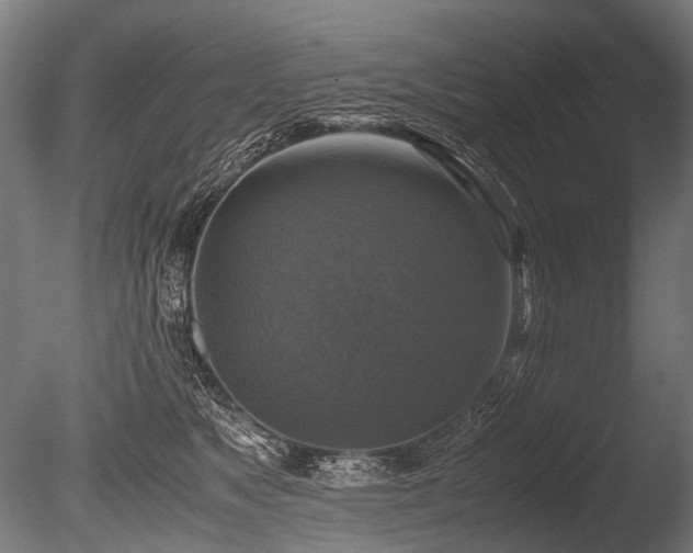 X0000086010517200703231215