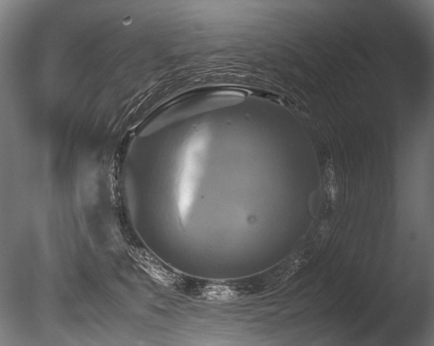 X0000086010519200703231215