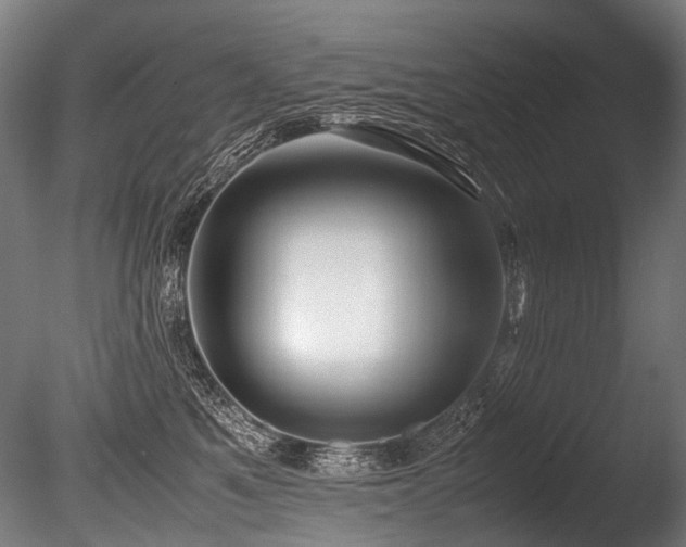 X0000086010521200703231215