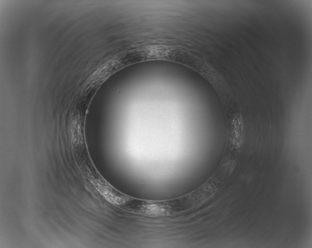 X0000086010522200703231215