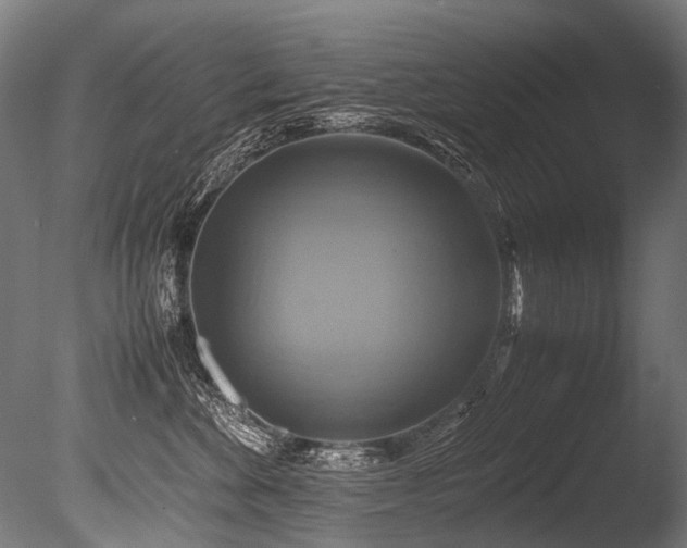 X0000086010524200703231215