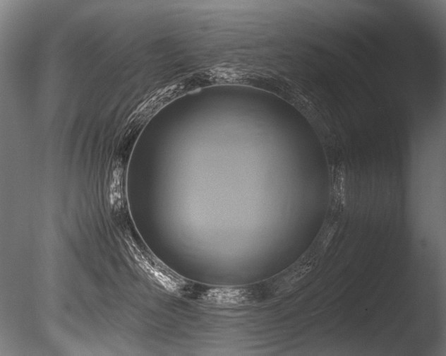 X0000086010526200703231215