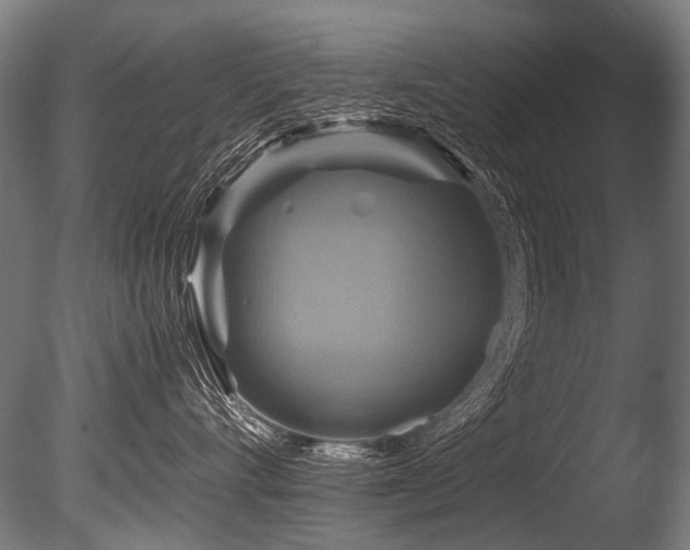 X0000086010528200703231215
