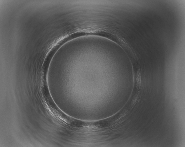X0000086010540200703231214