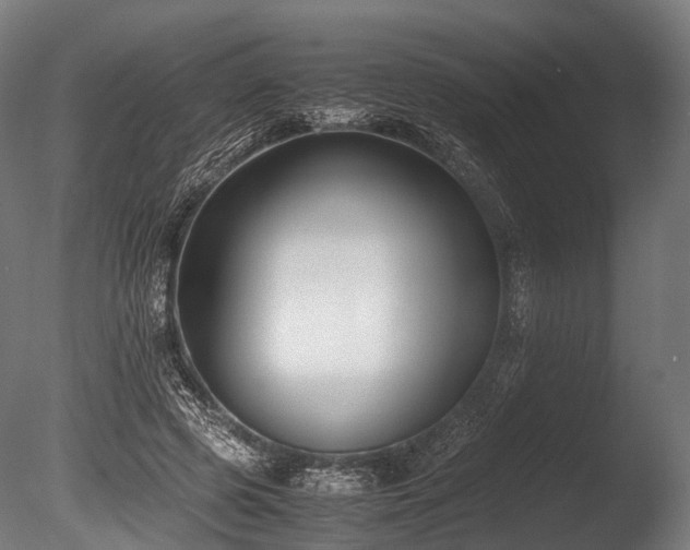 X0000086010545200703231214