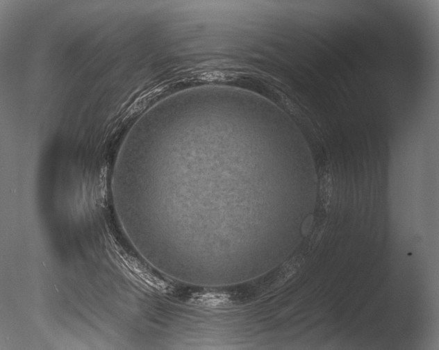 X0000086010554200703231215