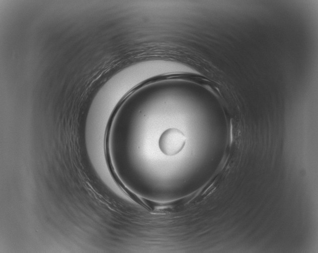 X0000086010556200703231215