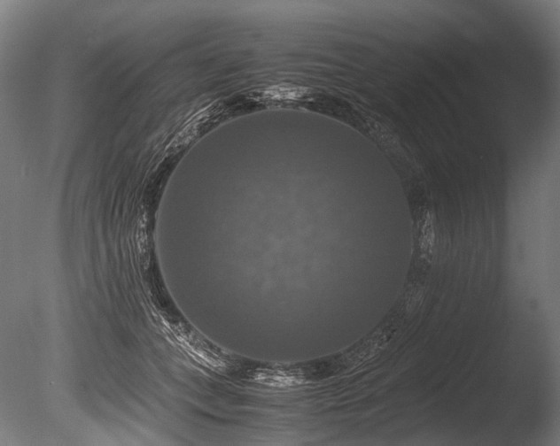 X0000086010559200703231215