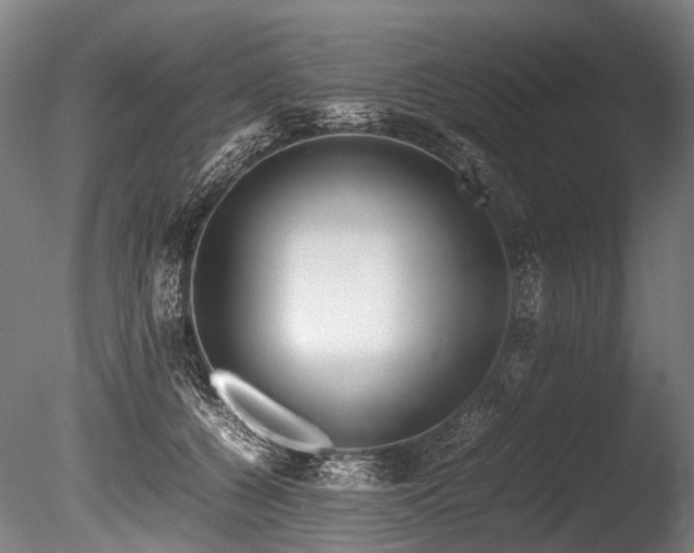 X0000086010560200703231215