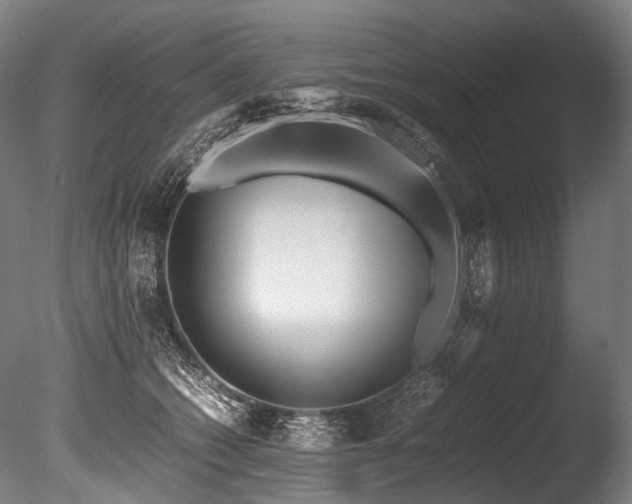X0000086010562200703231215