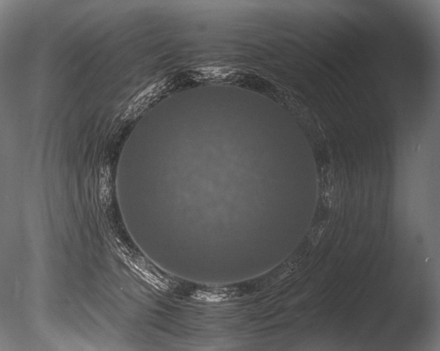 X0000086010563200703231215