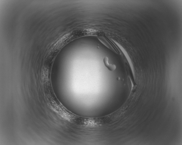 X0000086010565200703231215