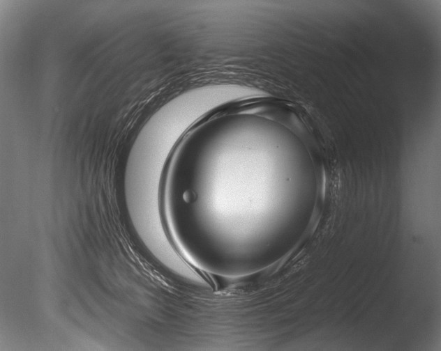 X0000086010566200703231215