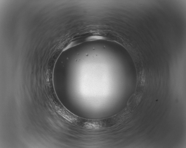 X0000086010567200703231215