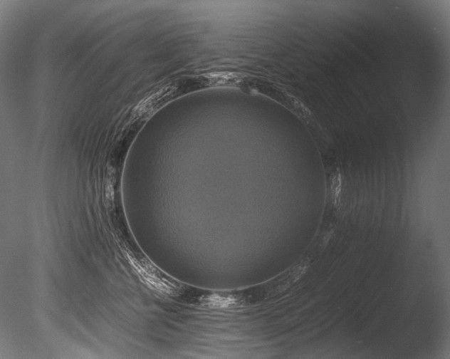 X0000086010570200703231215