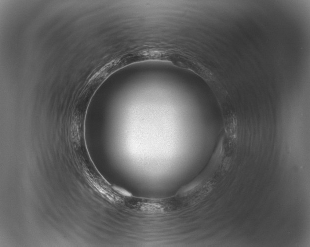 X0000086010572200703231215