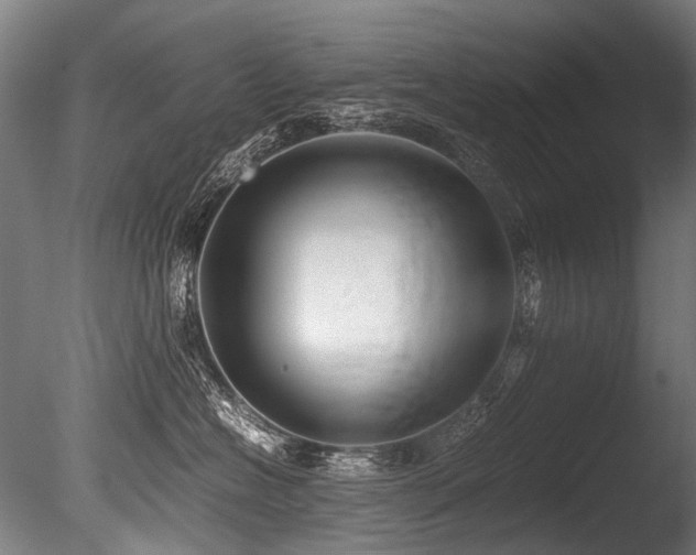 X0000086010574200703231215