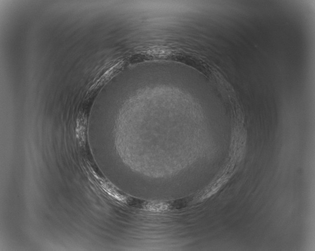 X0000086010576200703231215