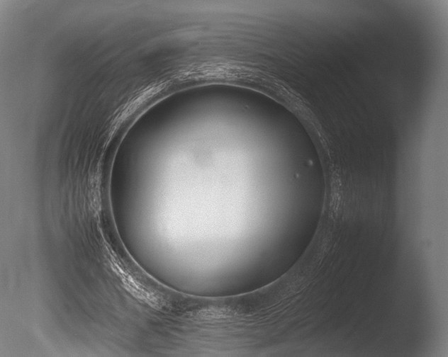 X0000086010578200703231214