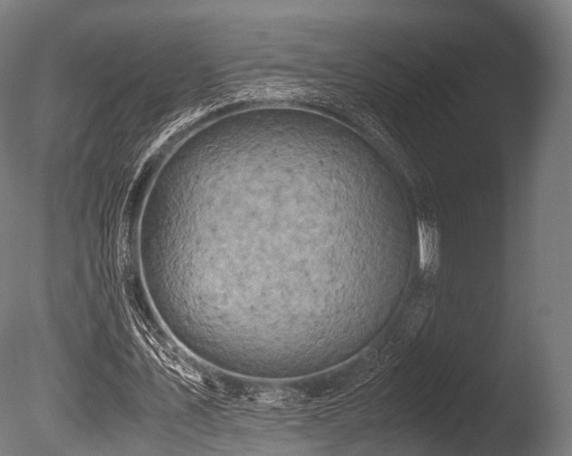 X0000086010579200703231214