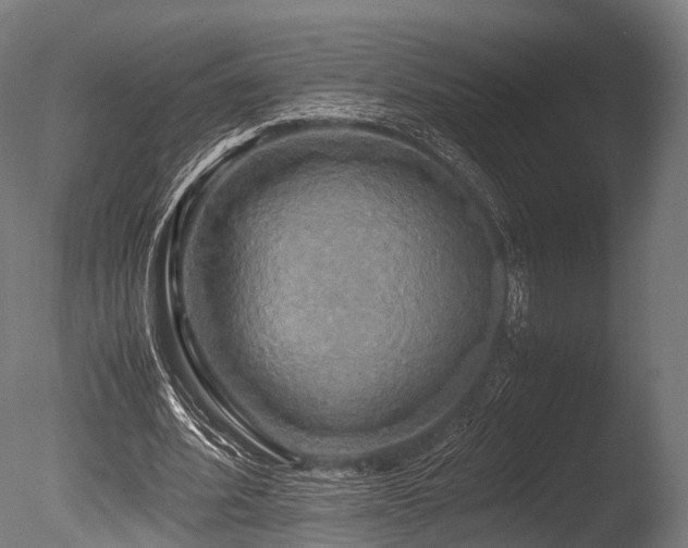 X0000086010580200703231214