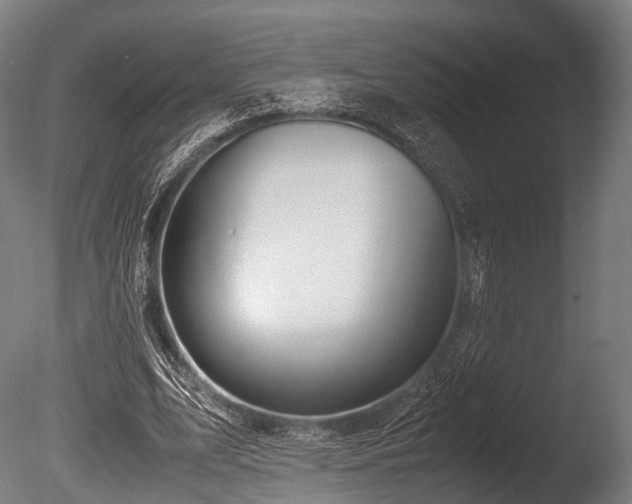 X0000086010583200703231214