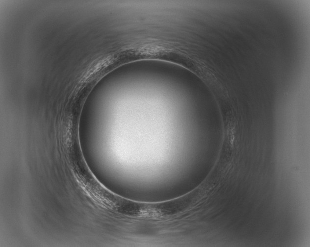 X0000086010591200703231214