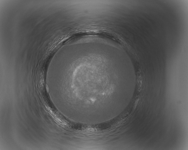 X0000086010593200703231214