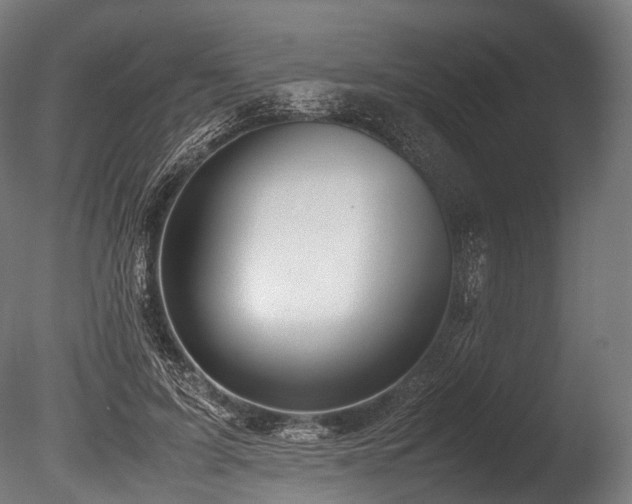 X0000086010595200703231214