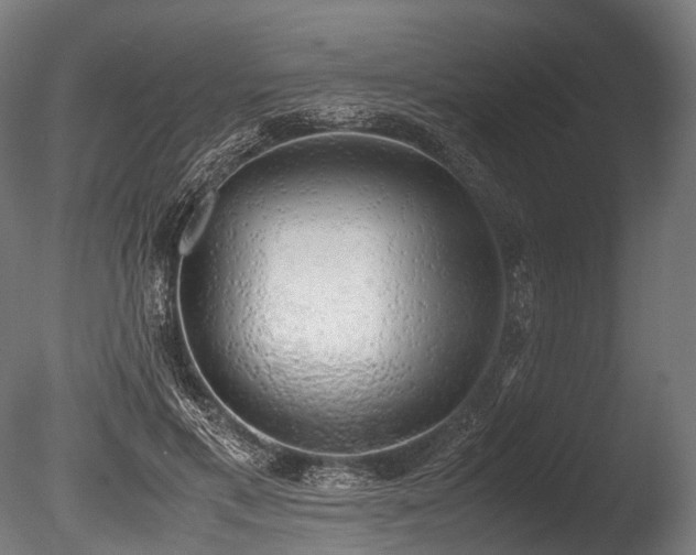 X0000086010597200703231214