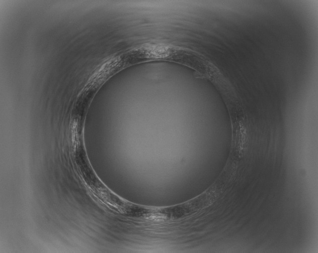 X0000086010598200703231214
