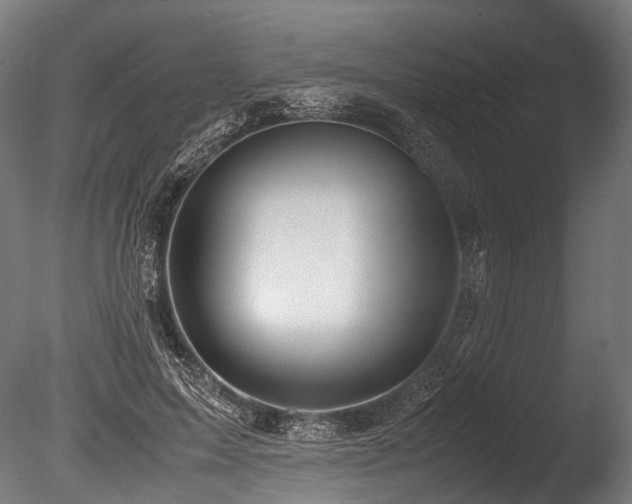 X0000086010599200703231214