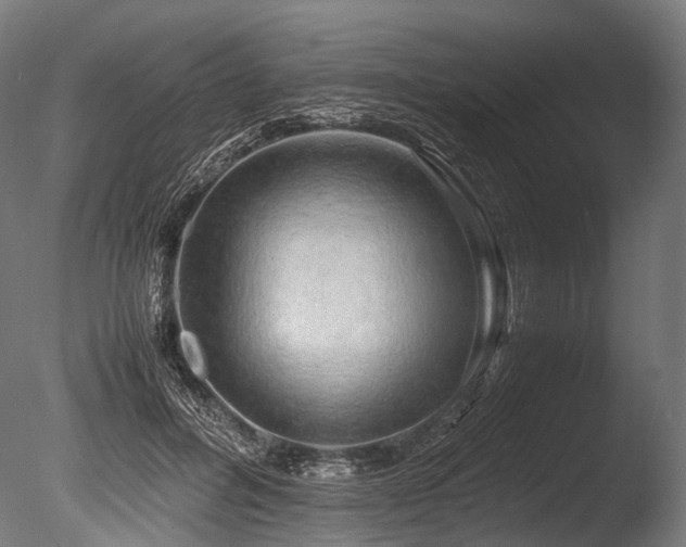 X0000086010600200703231214