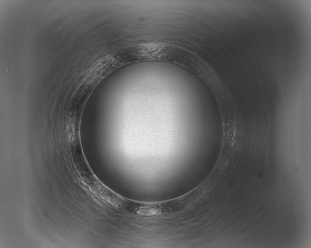 X0000086010602200703231214