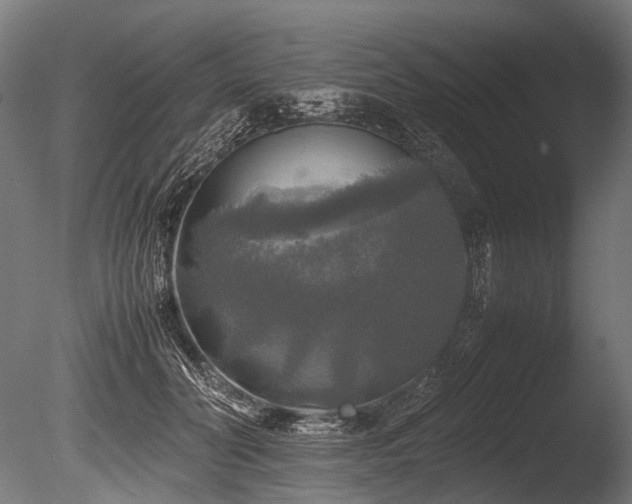 X0000086010606200703231214