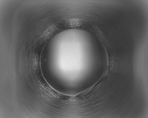 X0000086010608200703231214