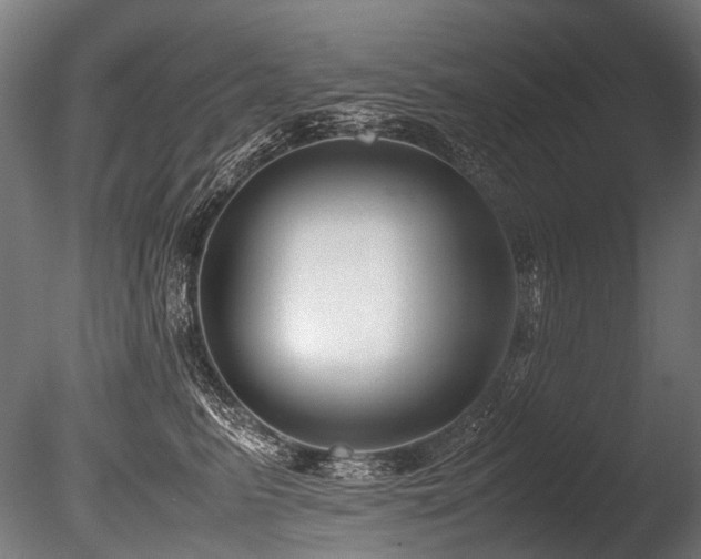 X0000086010615200703231213