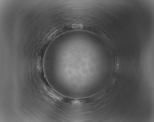X0000086010616200703231213